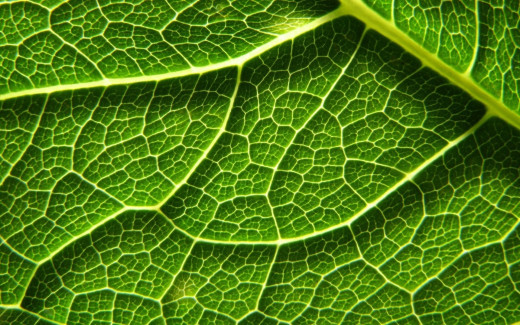 531392 (a): :1920x1200